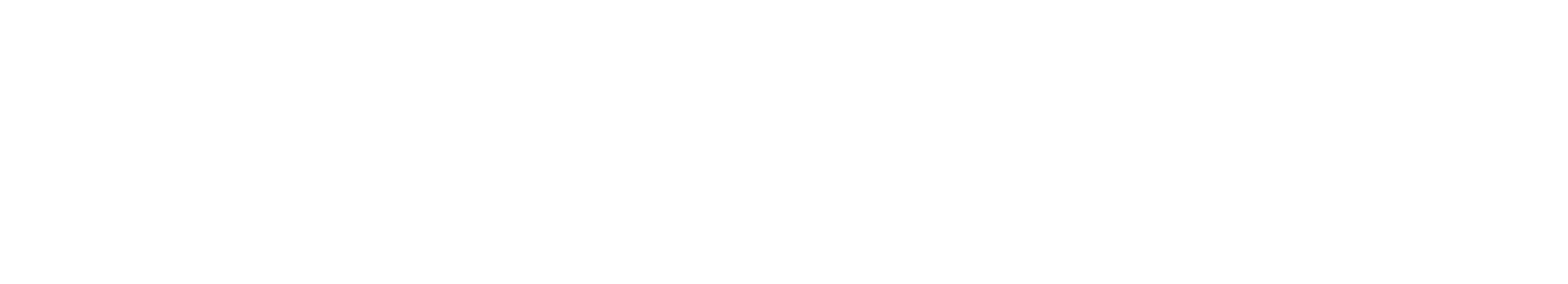 footer-logo